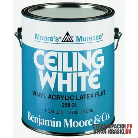 Benjamin Moore Muresco Ceiling White